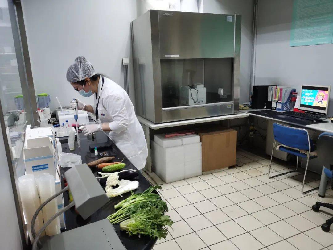 岳口镇食品检测实验室装修方案